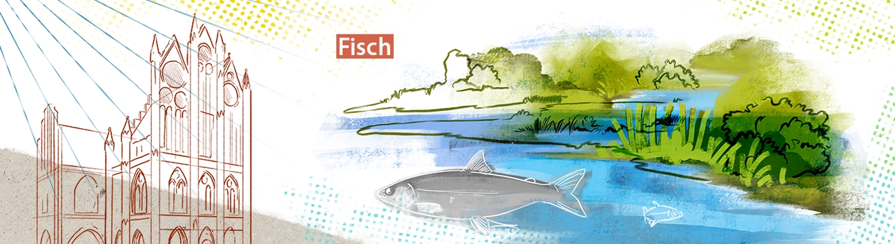 fisch-2.png