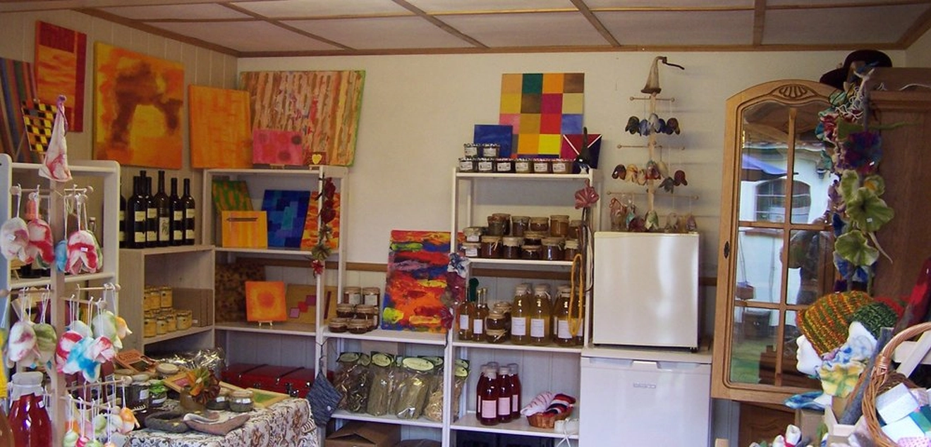 Kombucha-Studio titleImage