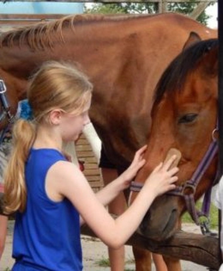 Reitanlage und Pferdepension Michaela Schulze.jpg Reitanlage und Pferdepension Michaela Schulze.jpg
