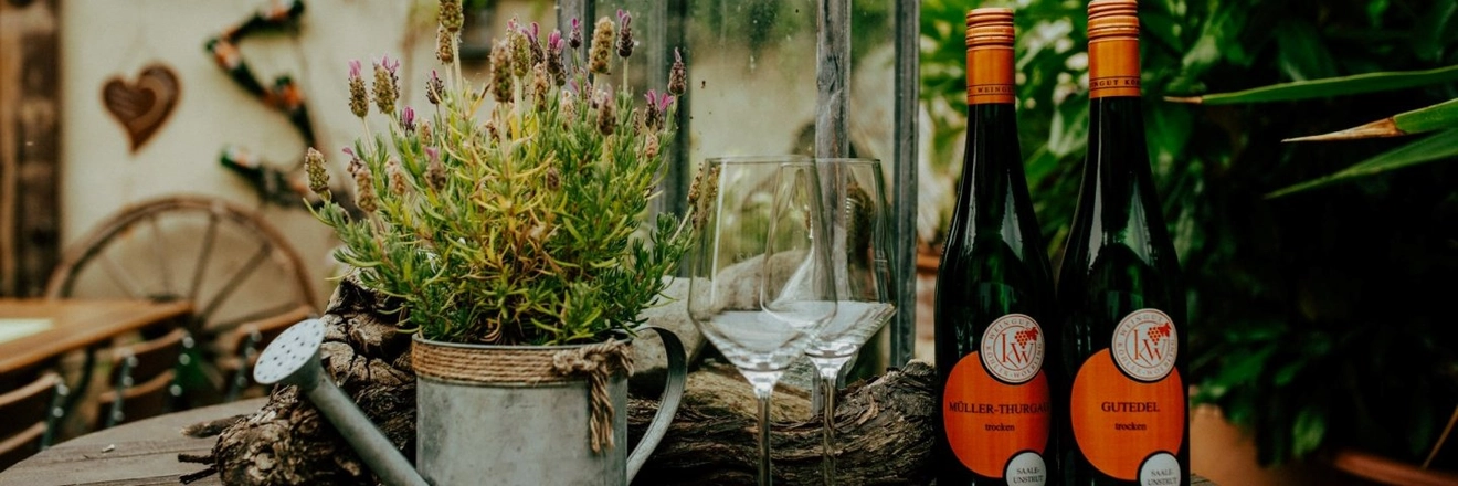 Weingut Wölbling titleImage