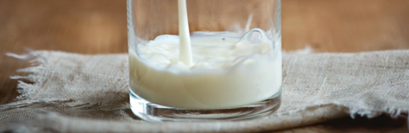 milch.kaese_on2.jpg milch.kaese_on2.jpg