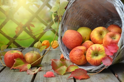Von Pflückobst, Streuwiesen und Bratapfel-Vorfreude Von Pflückobst, Streuwiesen und Bratapfel-Vorfreude