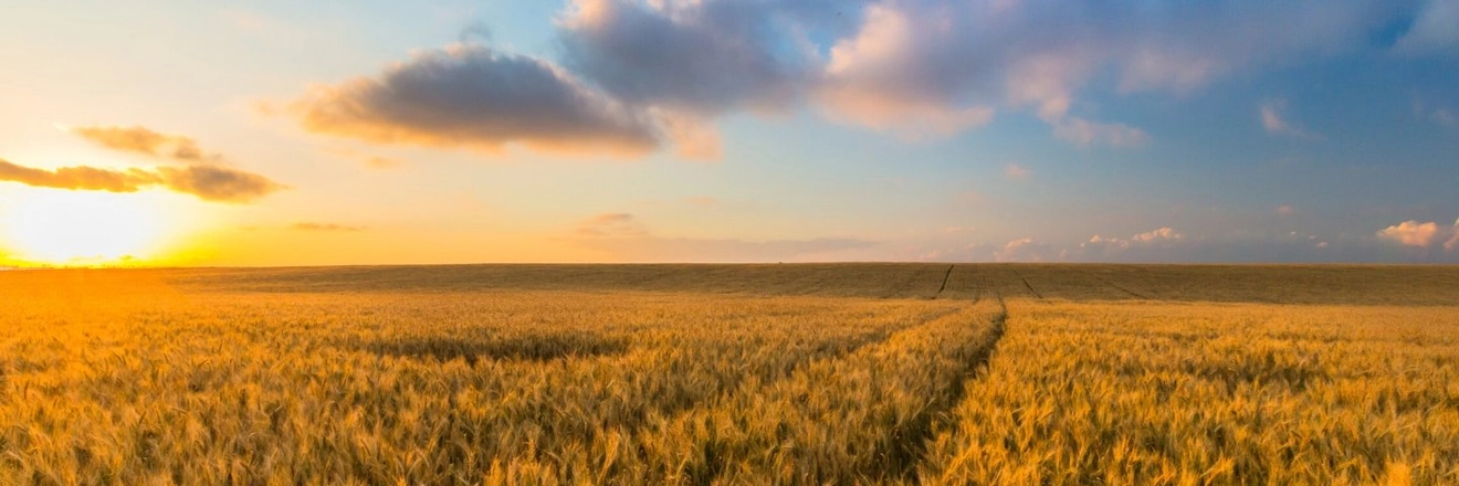 Mühle Zeddenbach titleImage