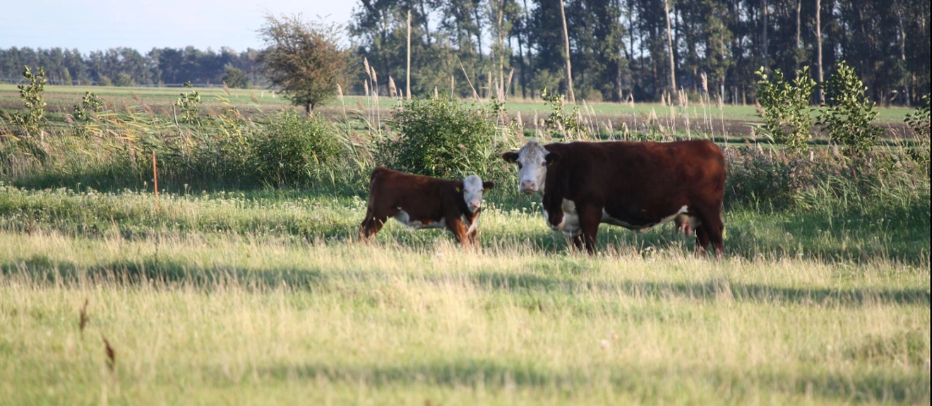 Hof Rajoch titleImage