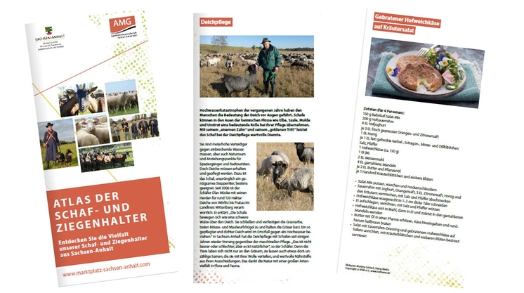 collage-schafatlas.jpg collage-schafatlas.jpg