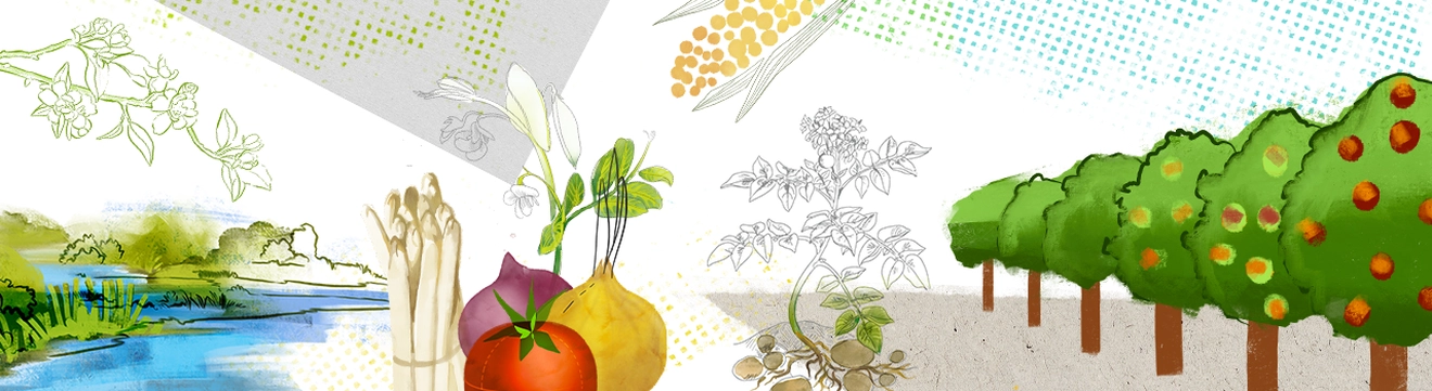 obst.gemuese_on.png obst.gemuese_on.png