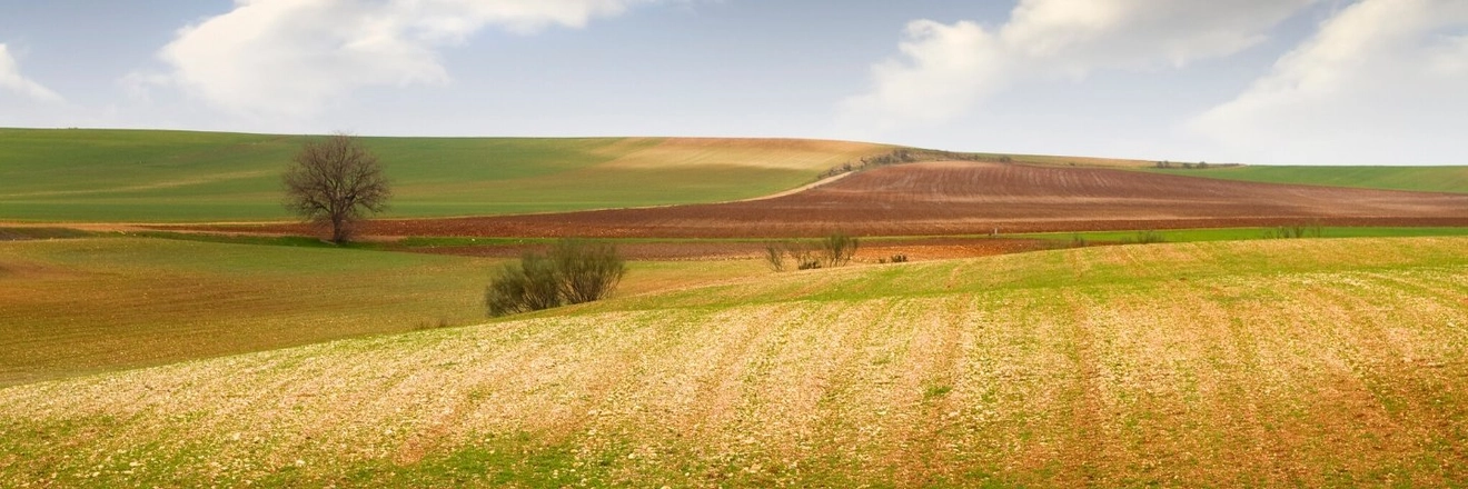 Agrarhof Heringa titleImage