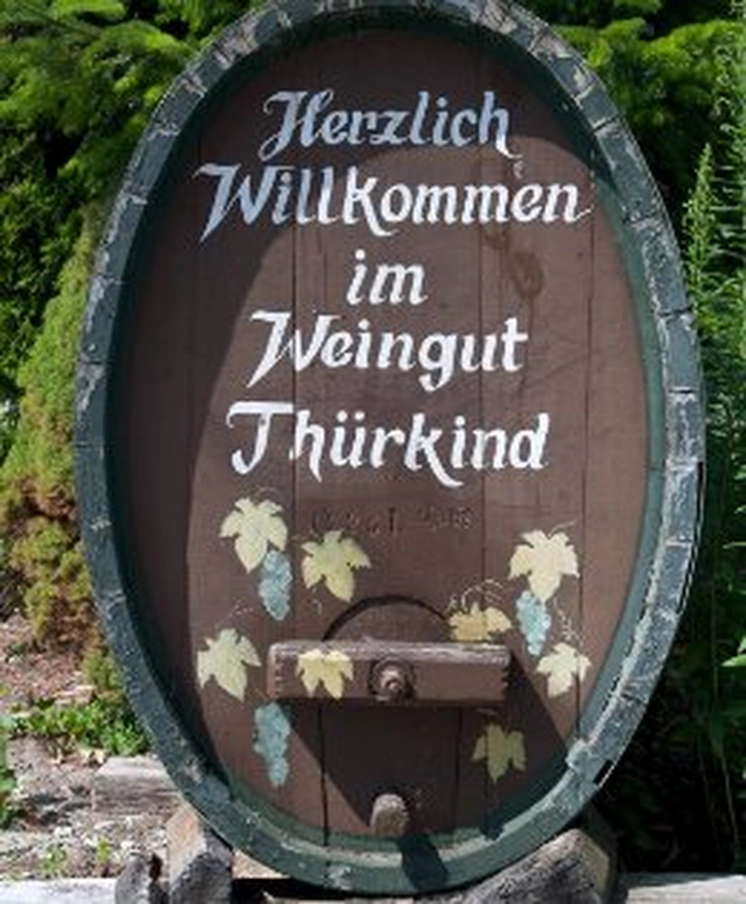 weingut-thurkind-jpg-65579.jpeg weingut-thurkind-jpg-65579.jpeg