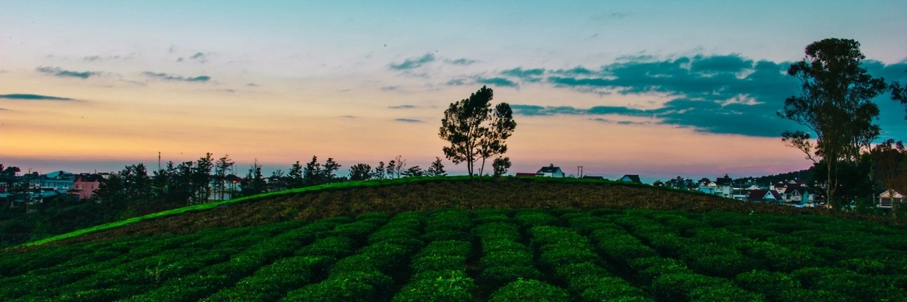 Obstbau Friedrich titleImage